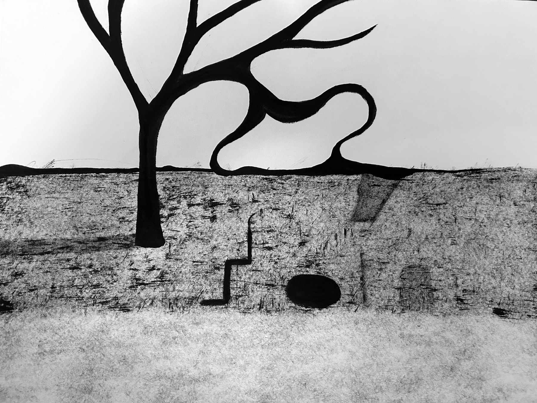 Tree and Field